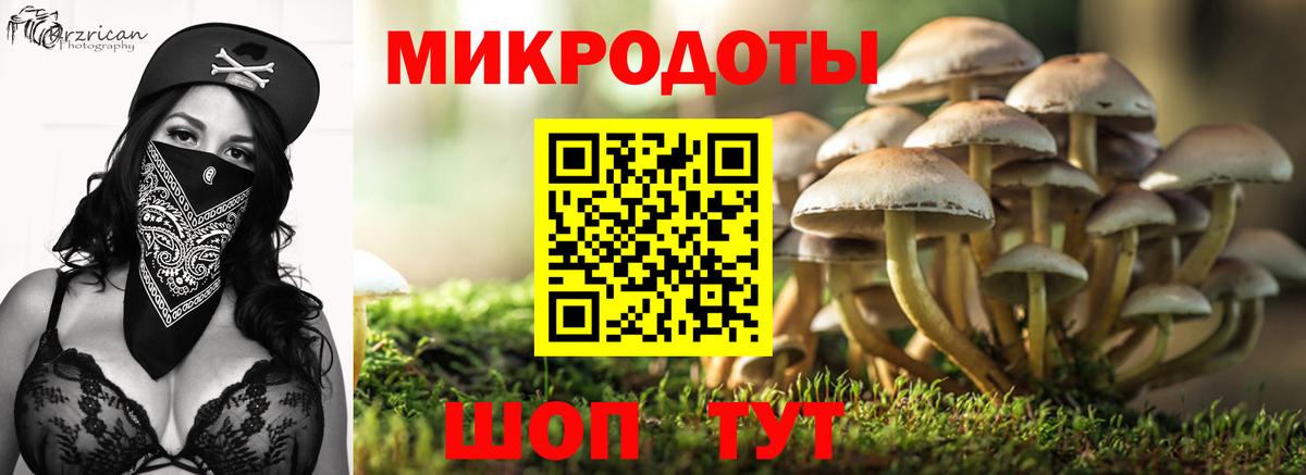 Псилоцибиновые грибы Psilocybine cubensis Гусь-Хрустальный