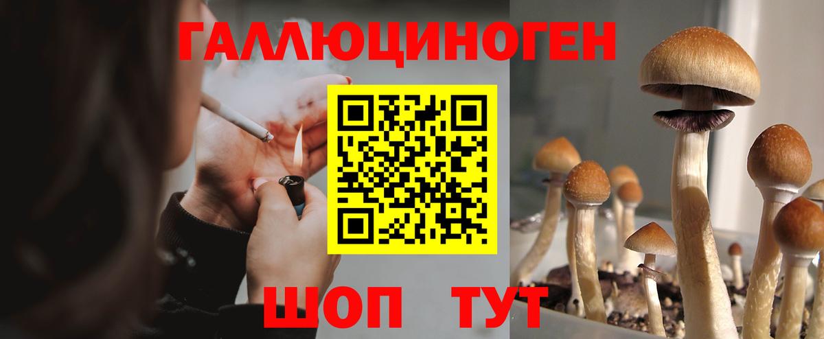Гусь-Хрустальный  Галлюциногенные грибы ЛСД  Псилоцибиновые грибы MAGIC MUSHROOMS  Вход с VPN 
